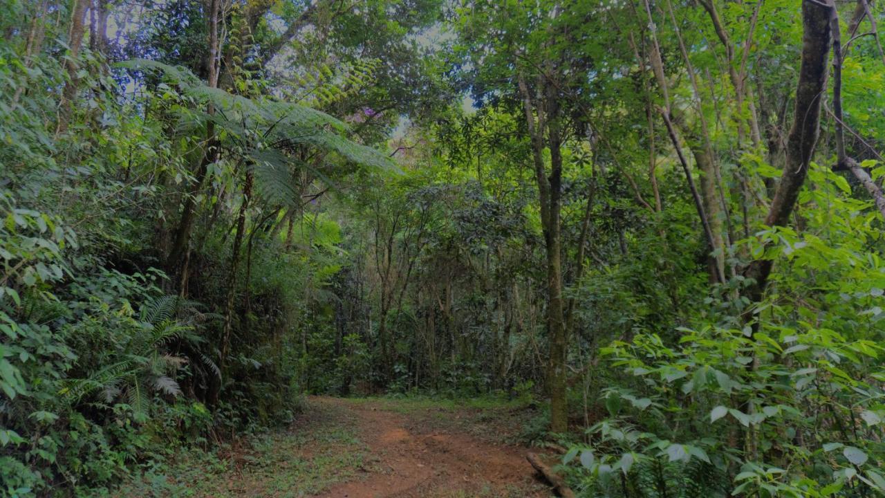Pousada Alpes Santo Antônio do Pinhal Kültér fotó