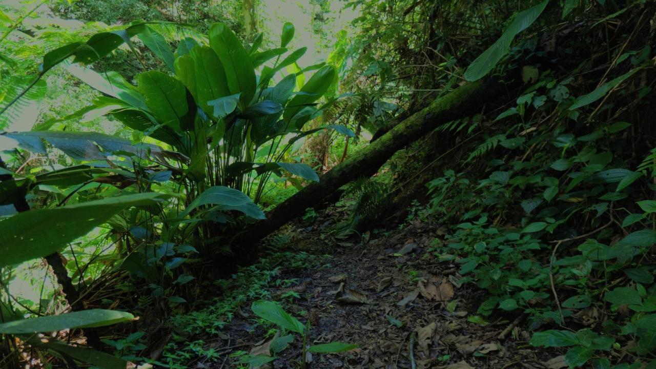 Pousada Alpes Santo Antônio do Pinhal Kültér fotó